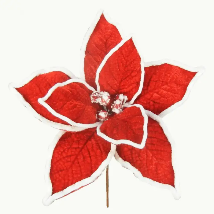 040907904481-galerias el triunfo