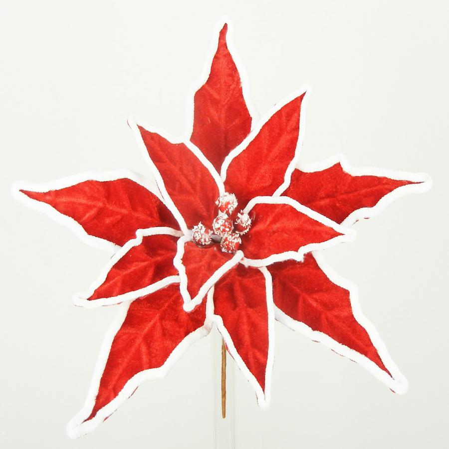 040907904483-galerias el triunfo