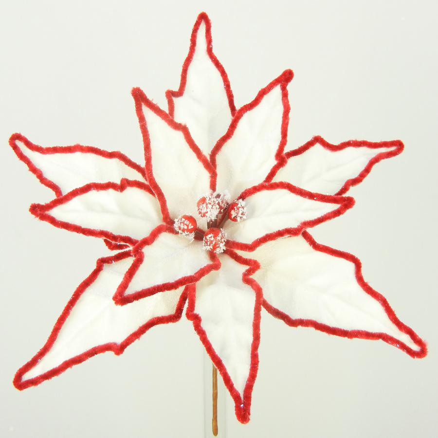 040907904484-galerias el triunfo