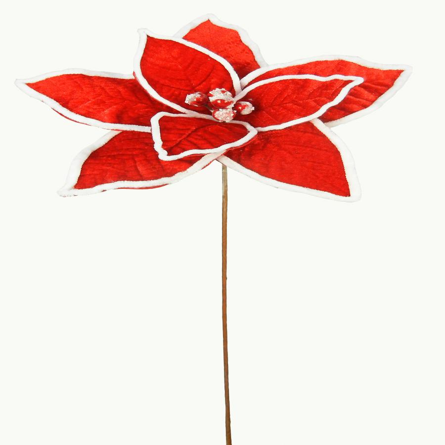 040907904496-galerias el triunfo