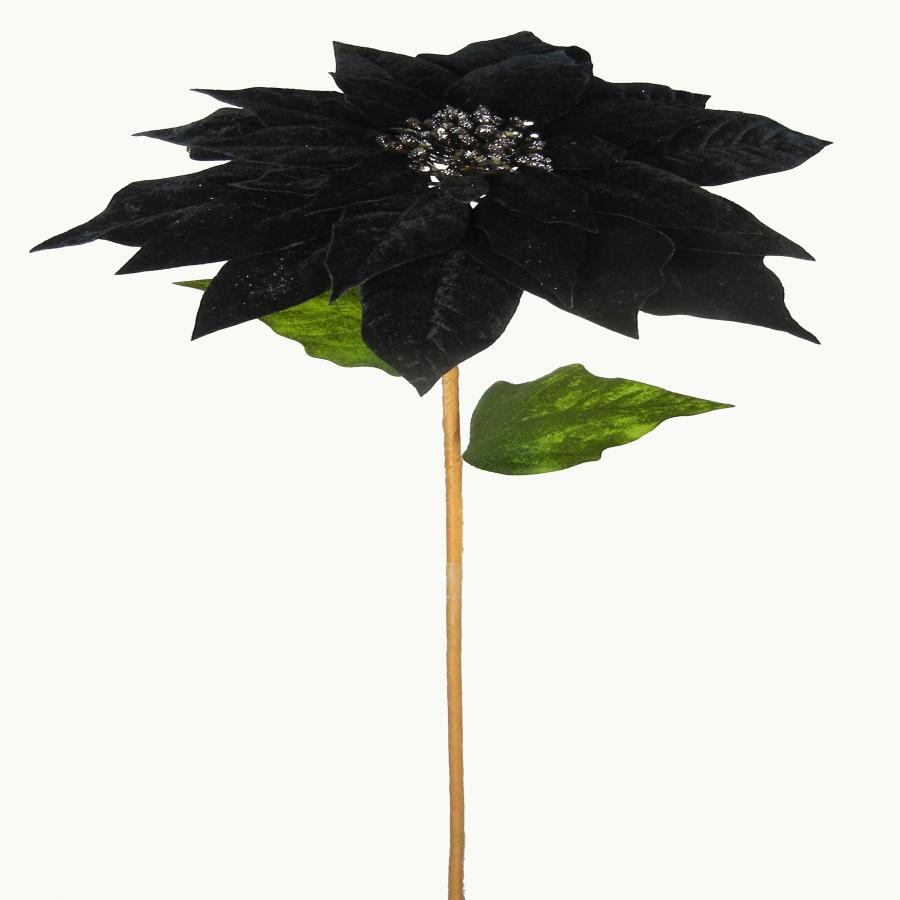 040907904503-galerias el triunfo