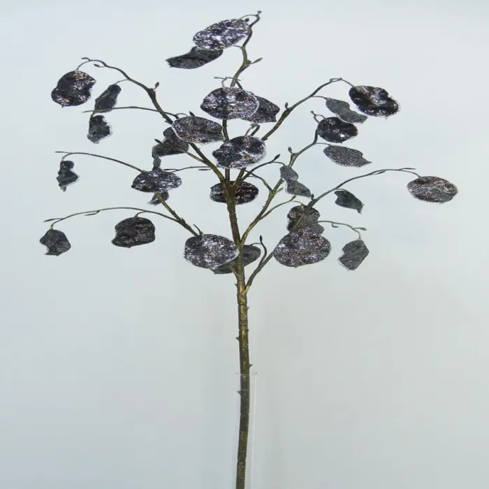 040907904511-galerias el triunfo