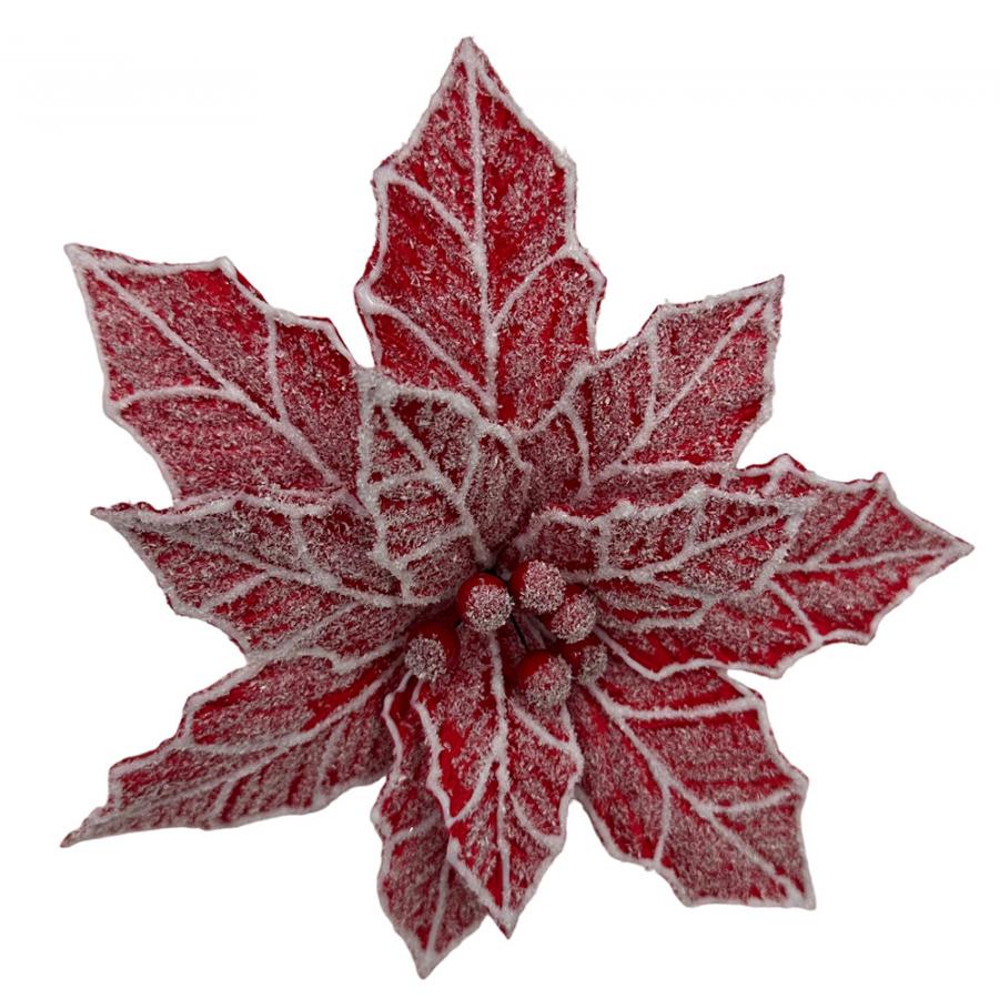 304001736355-galerias el triunfo