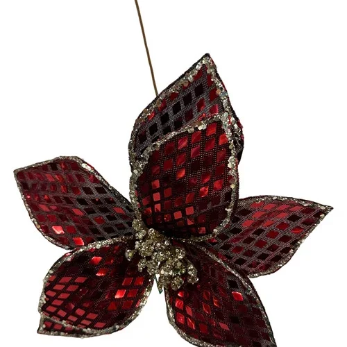 304001736359-galerias el triunfo