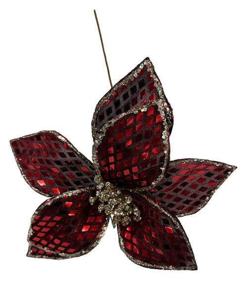 304001736359-galerias el triunfo