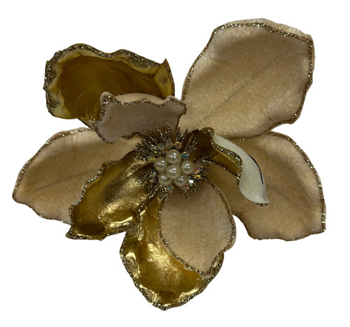 304001736360-galerias el triunfo