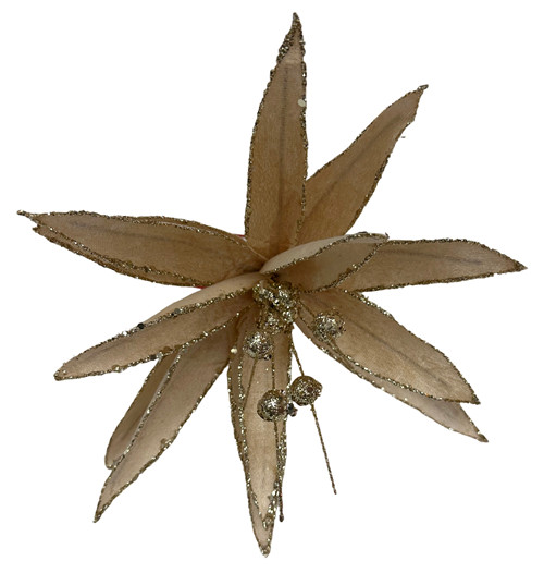 304001736363-galerias el triunfo