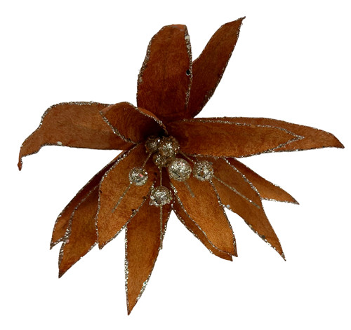 304001736364-galerias el triunfo