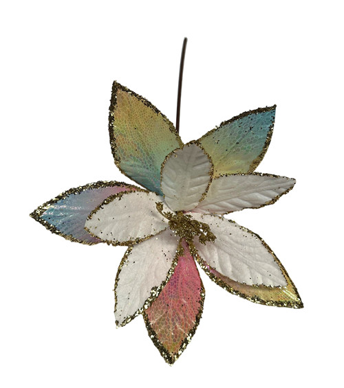 304001736394-galerias el triunfo