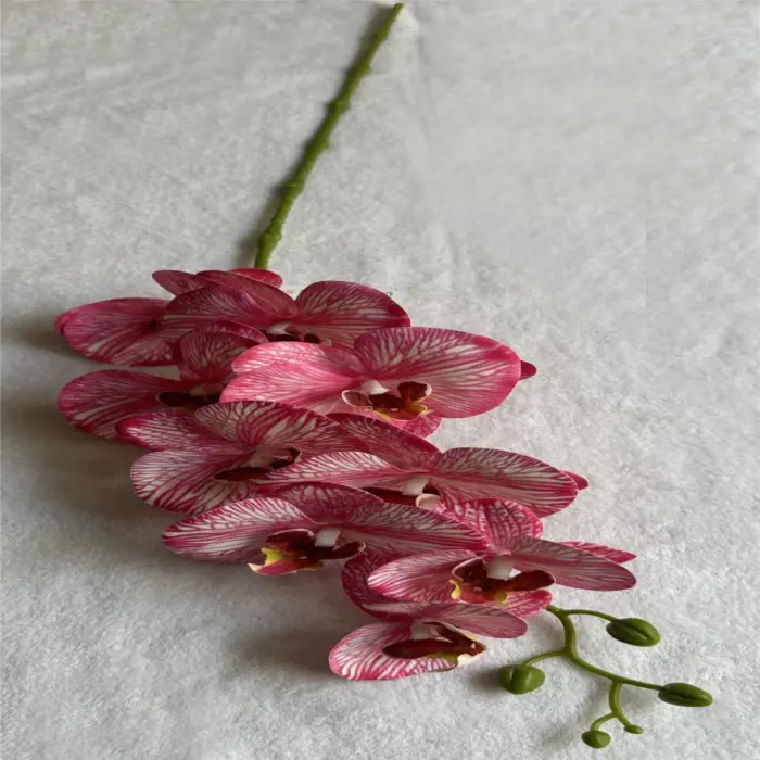 303001736914-galerias el triunfo