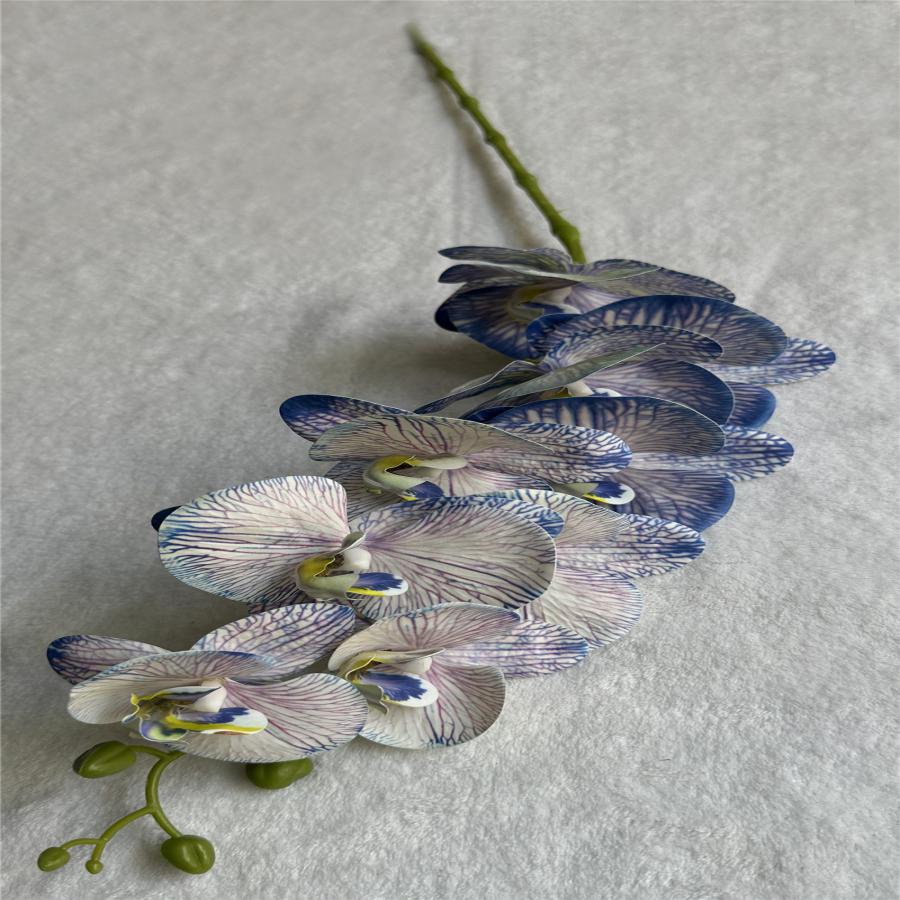 303001736915-galerias el triunfo