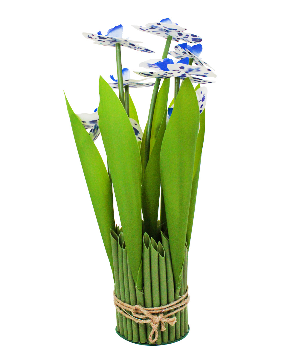 304001736001-galerias el triunfo