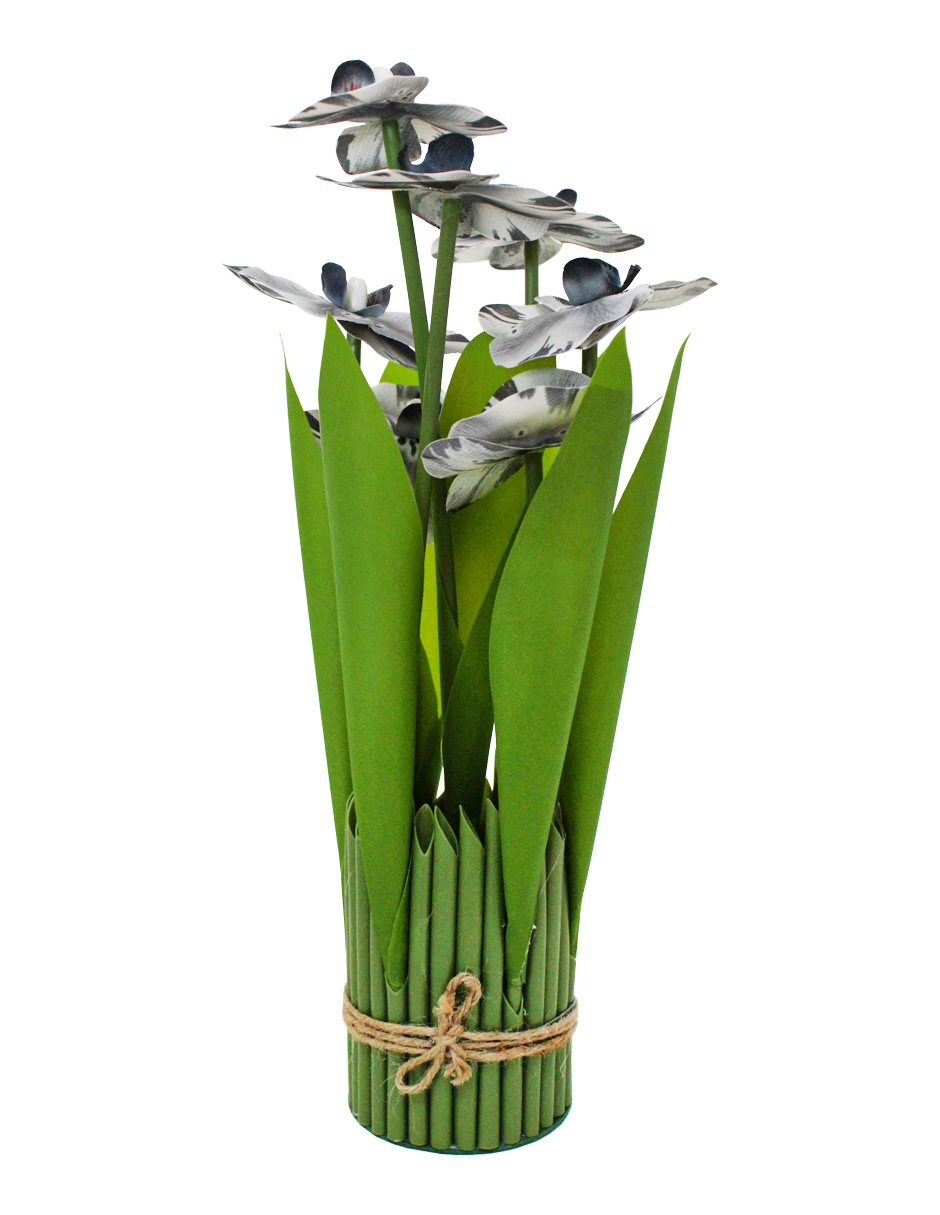 304001736007-galerias el triunfo