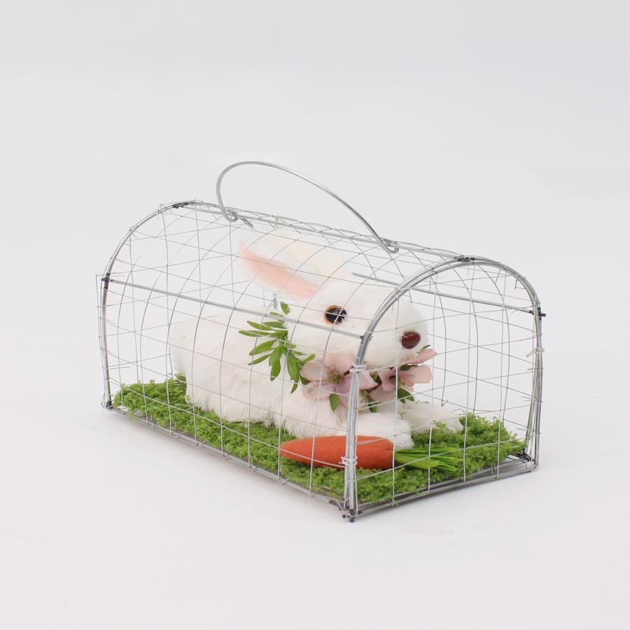 044071816377-galerias el triunfo