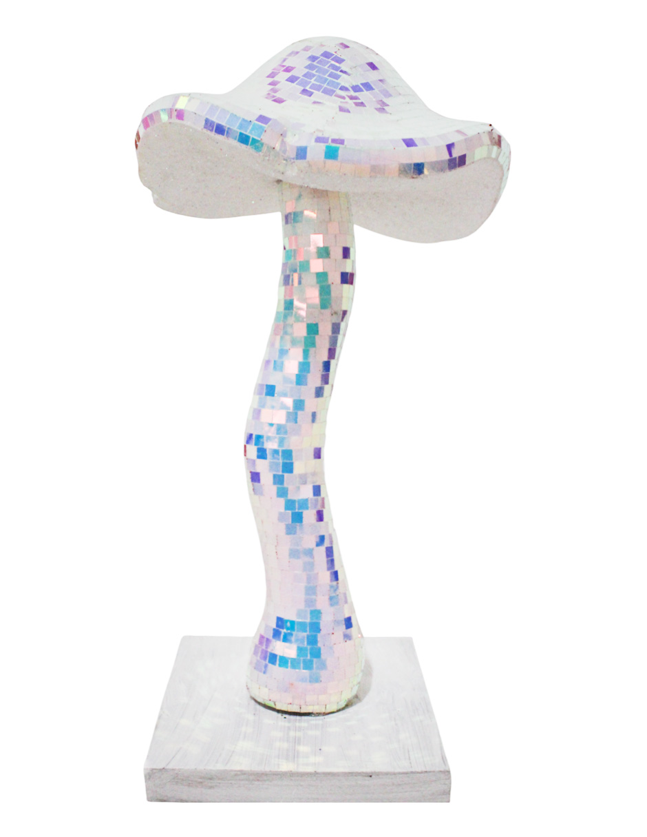 049072866072-galerias el triunfo