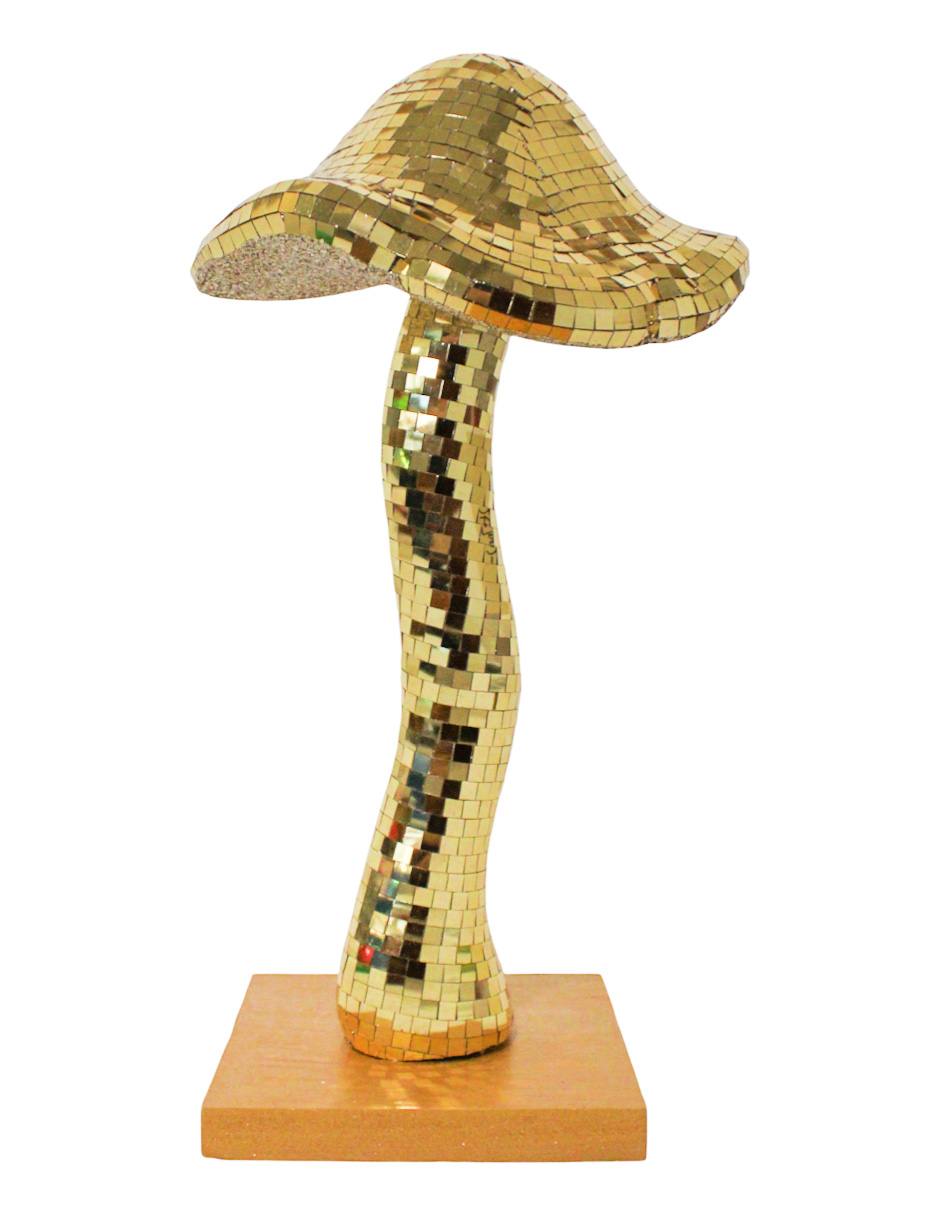 049072866077-galerias el triunfo