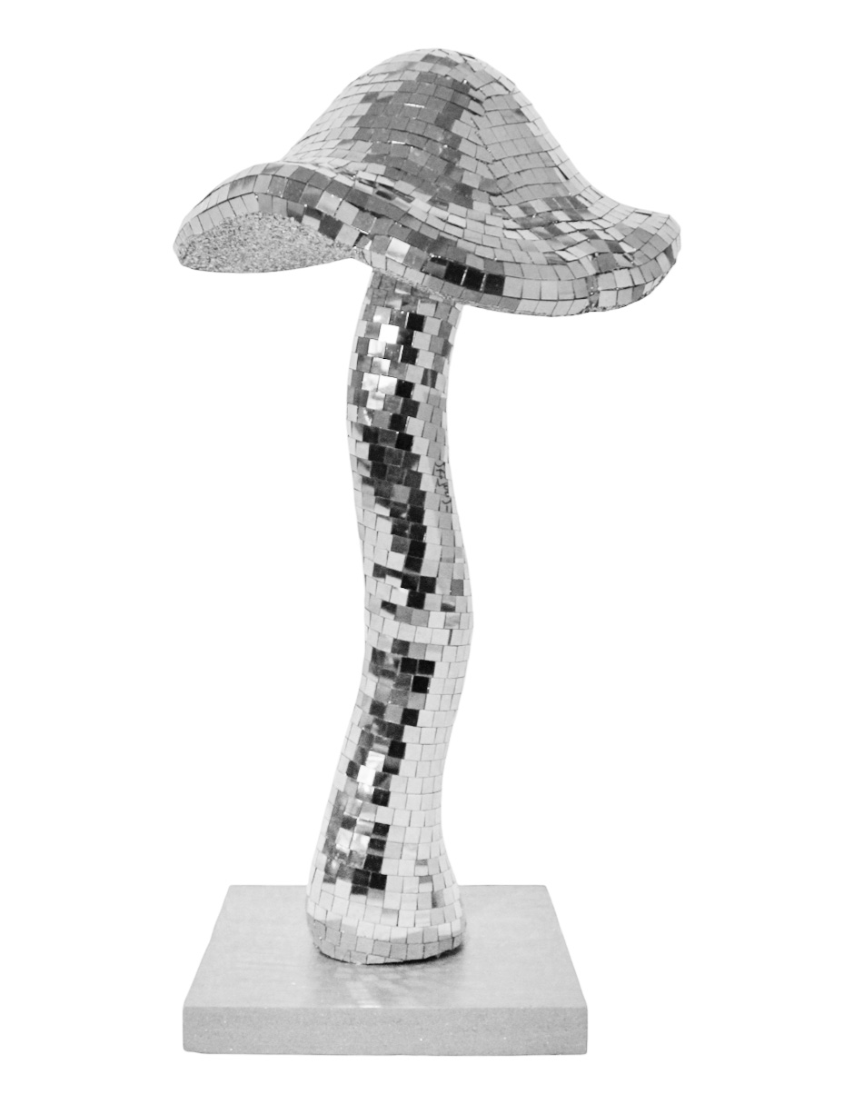 049072866078-galerias el triunfo