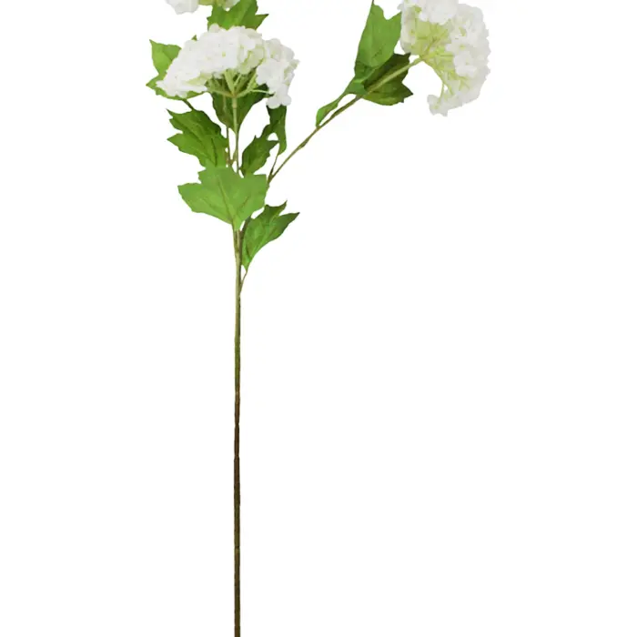 303001736950-galerias el triunfo