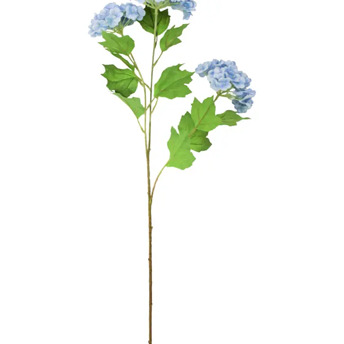 303001736952-galerias el triunfo