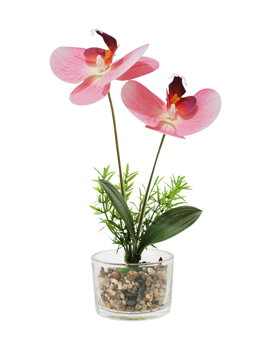 304001736086-galerias el triunfo