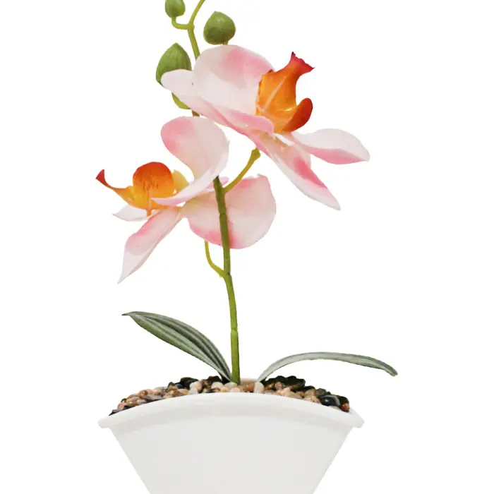 304001736087-galerias el triunfo