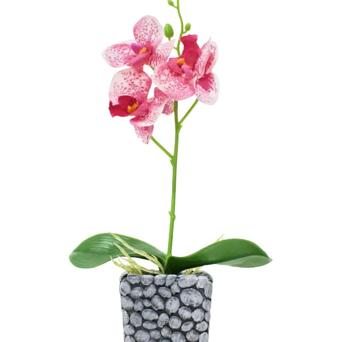 304001736088-galerias el triunfo