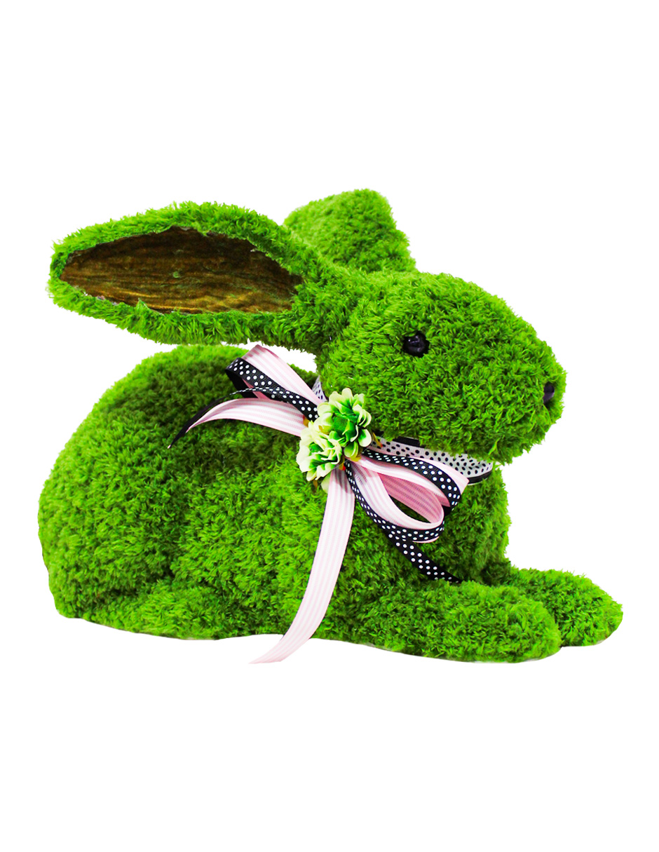 100307378718-galerias el triunfo