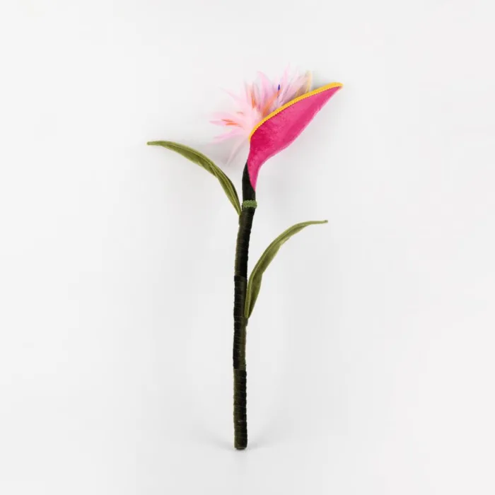 100307378951-galerias el triunfo