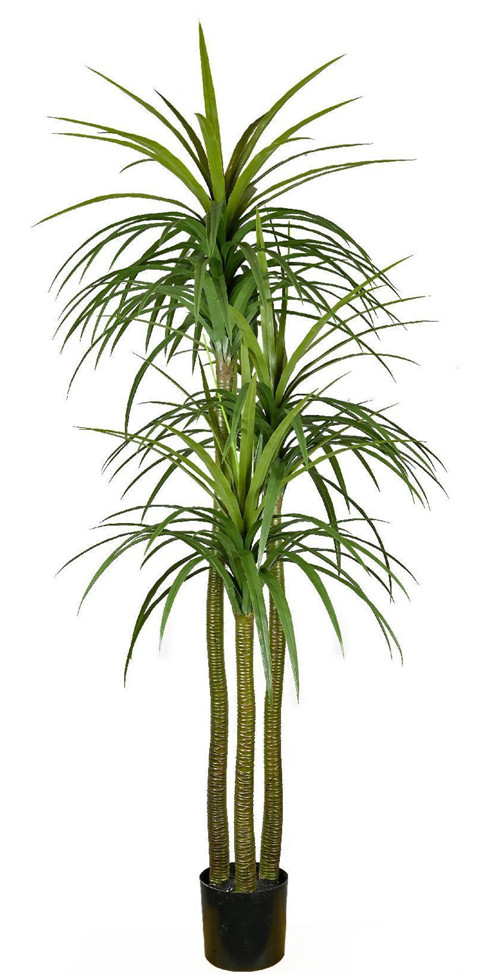 304001736330-galerias el triunfo