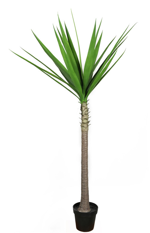 304001736331-galerias el triunfo