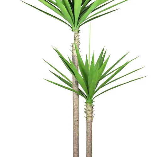 304001736332-galerias el triunfo