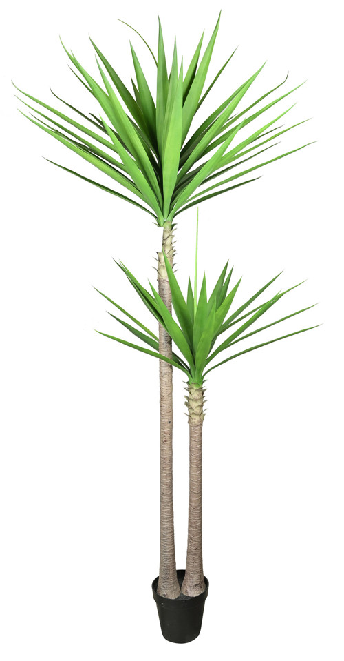 304001736332-galerias el triunfo