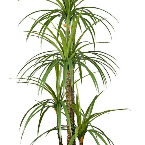 304001736333-galerias el triunfo