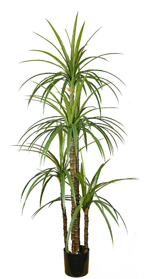 304001736333-galerias el triunfo