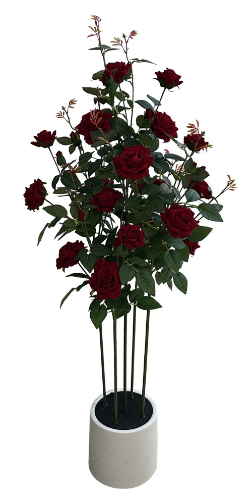 304001736339-galerias el triunfo