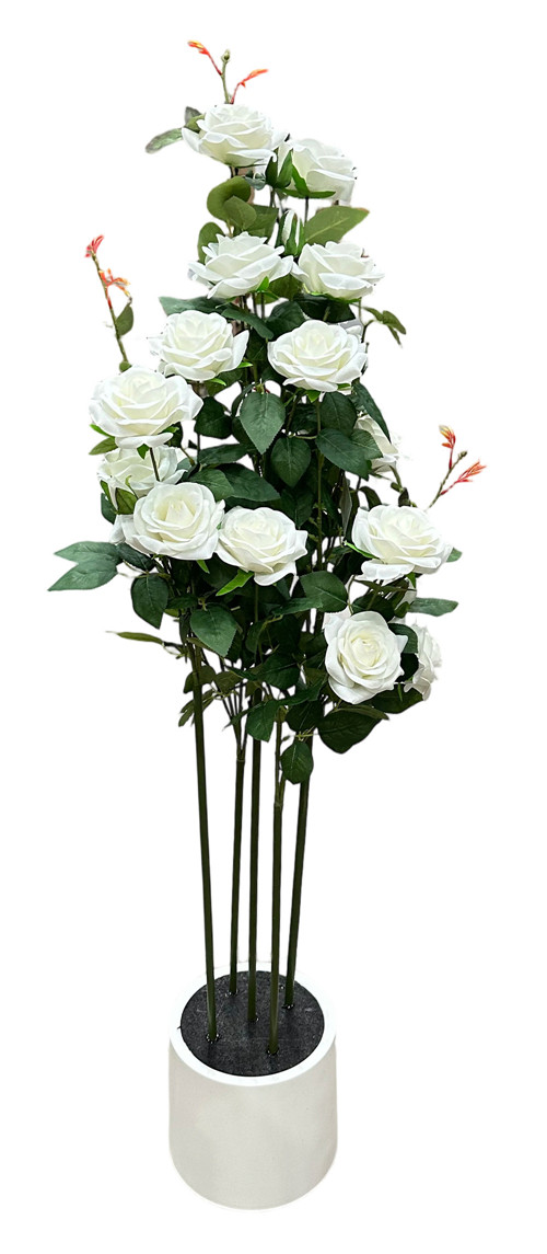 304001736340-galerias el triunfo