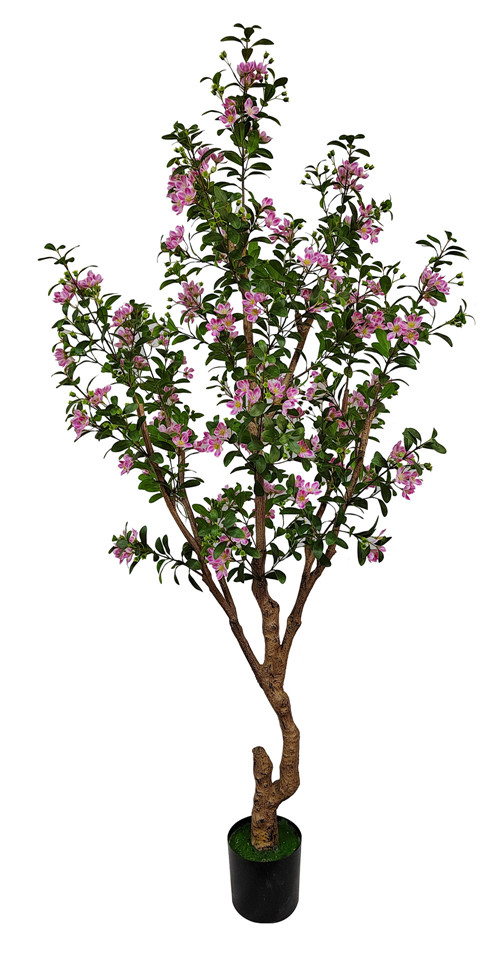 304001736380-galerias el triunfo