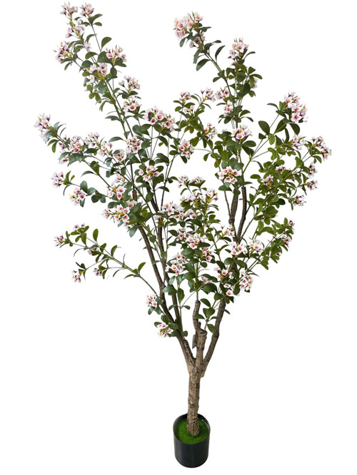 304001736381-galerias el triunfo