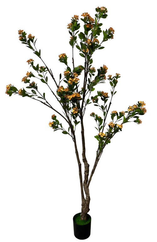 304001736382-galerias el triunfo