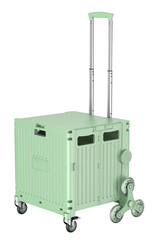 304001736887-galerias el triunfo