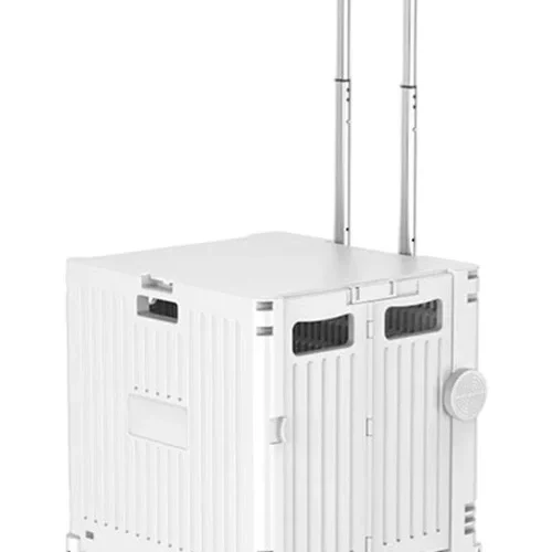 304001736889-galerias el triunfo