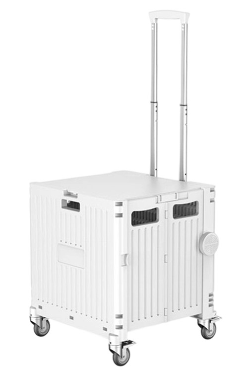 304001736889-galerias el triunfo