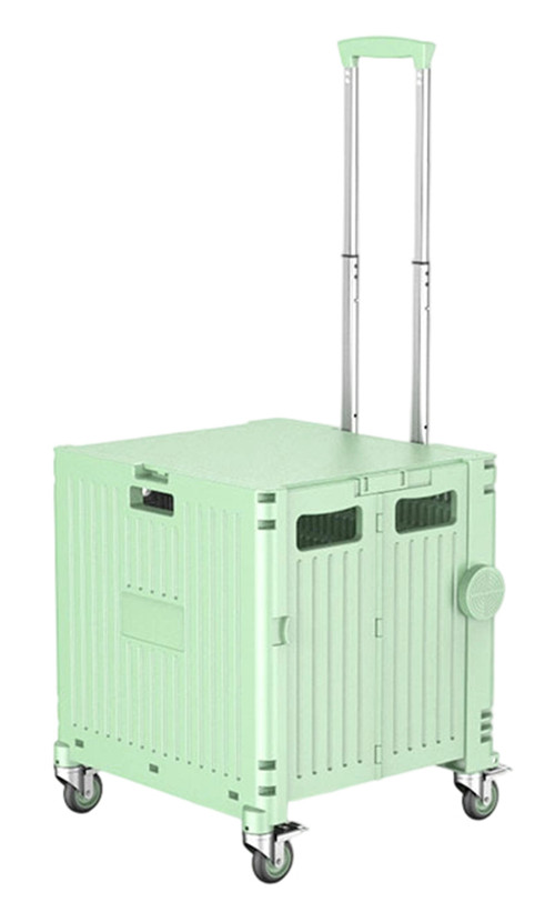 304001736890-galerias el triunfo