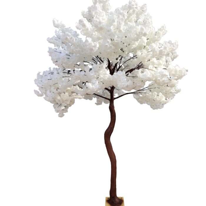Árbol de Cerezos Blanco Imperial