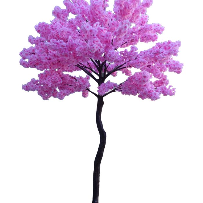 Árbol de Cerezos Rosa Imperial