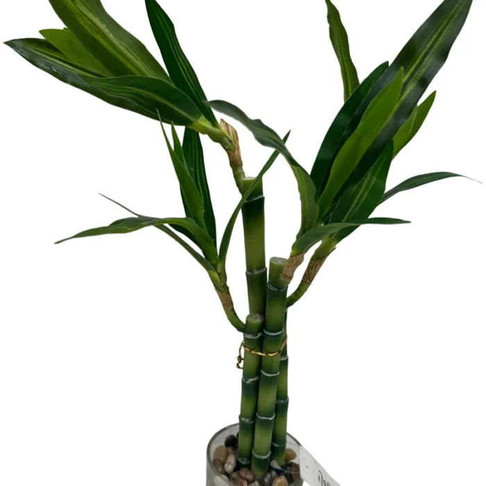 304001736089-galerias el triunfo