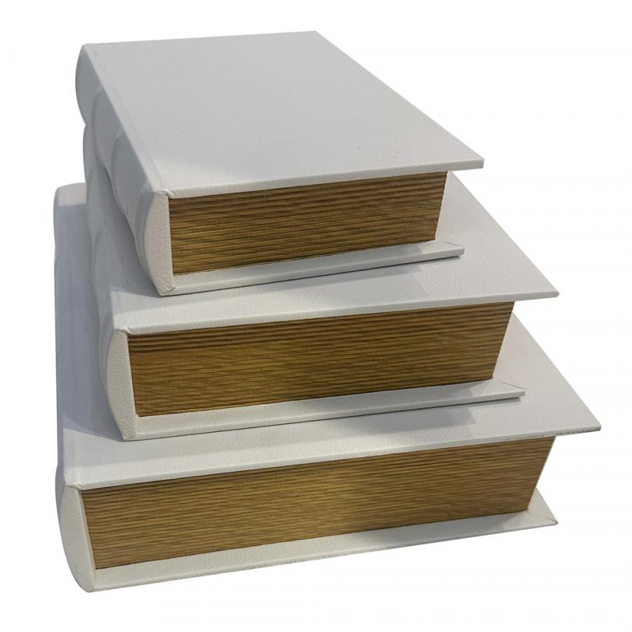 304001736323-galerias el triunfo