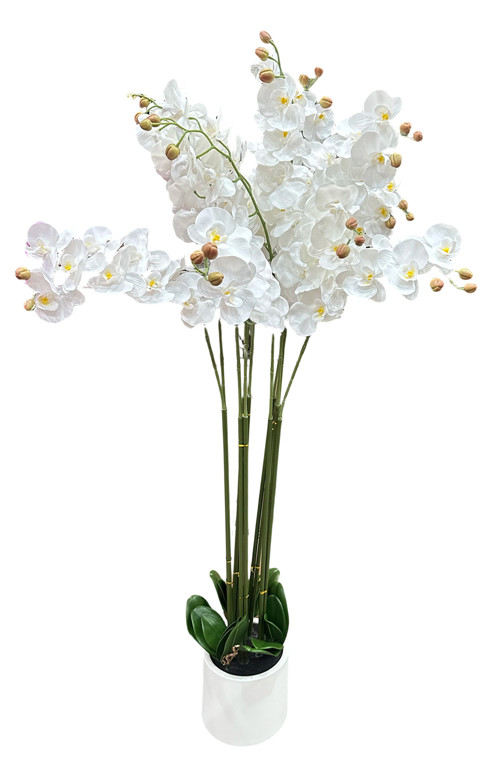 304001736342-galerias el triunfo