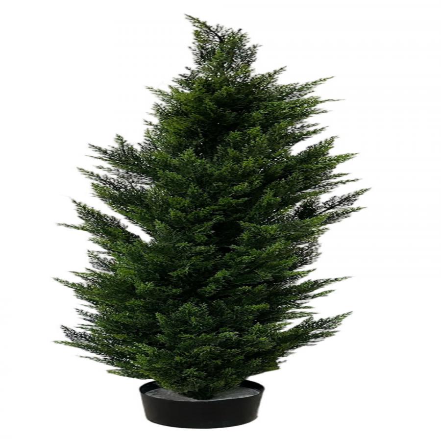 304001736384-galerias el triunfo