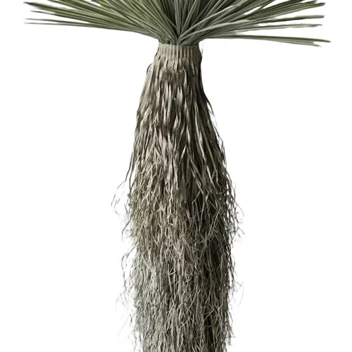 304001736409-galerias el triunfo